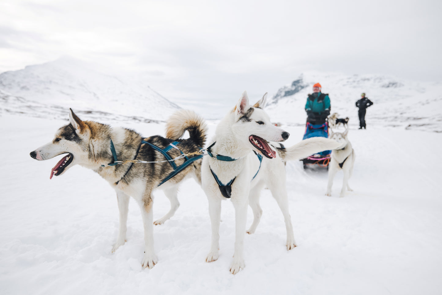 Customized Mountain Tour